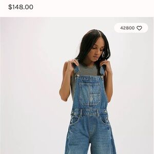 We The Free Indigo Denim Overalls